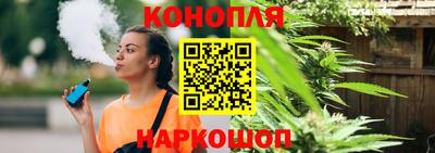 индика Тулун