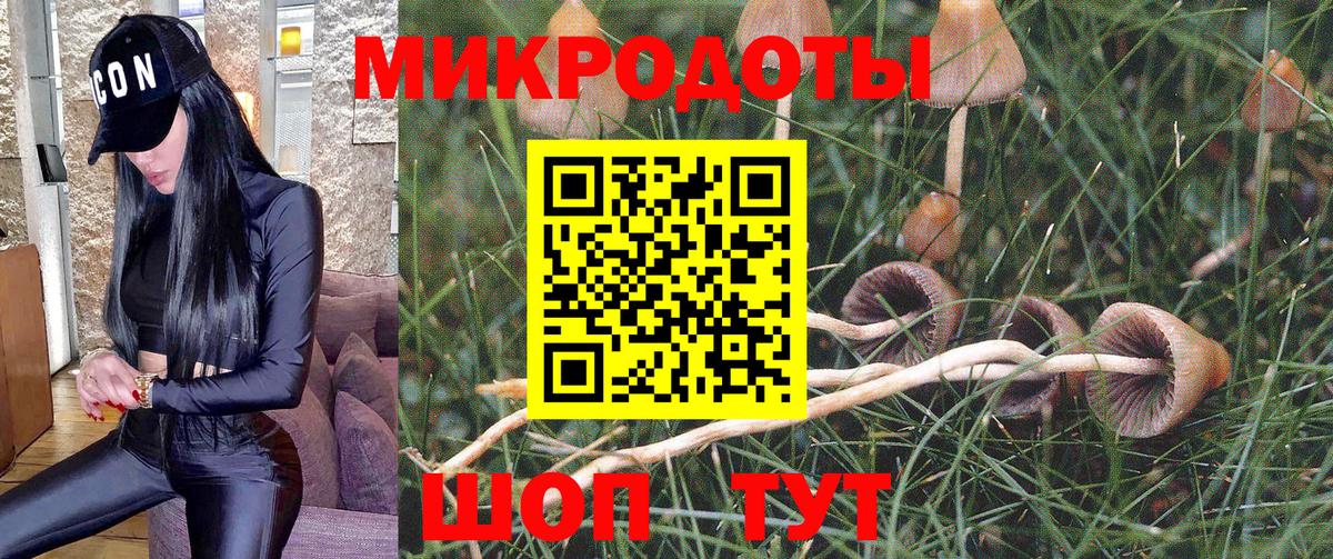 дарнет шоп  Галлюциногенные грибы Cubensis  Вход с VPN  Отрадный 