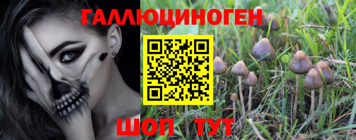 Альфа ПВП Отрадный